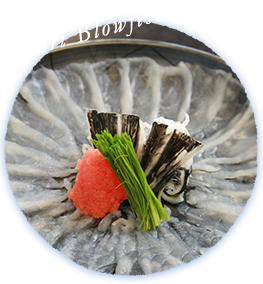 Anori Blowfish