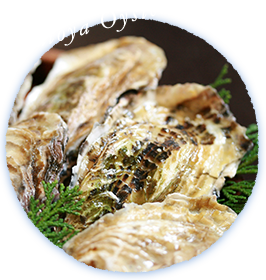 Matoya Oyster